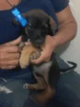 Lindinha