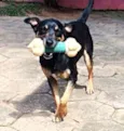 Jack