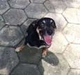 Jack