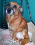 LILITY