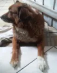 Teca