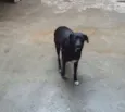Tekinha