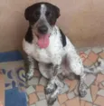 Lambão