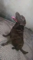 Zeus