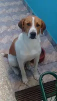 Billy