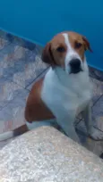Billy