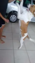 Billy