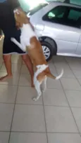 Billy