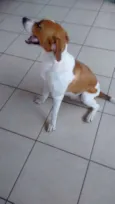 Billy