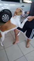 Billy