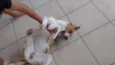 Billy