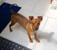 Dora