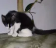 Meuzinha