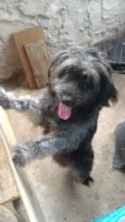 Sirius Black