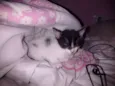 --