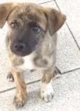 Zeus