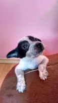 Ted