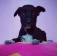Nina
