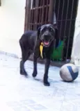 Preto