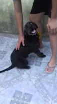 Preto