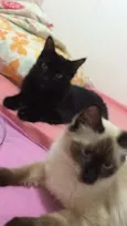 Nina e Prepre