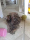 Abandonado