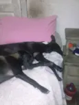 Cristal e Jade