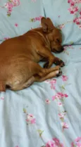 Sebastian