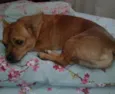 Sebastian