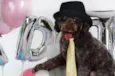 Bidú