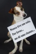 Snoopy