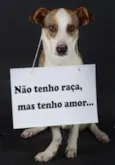 Snoopy