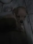 Sem nome ainda