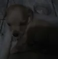 Sem nome ainda
