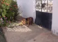 nao sei