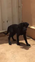 Bolt