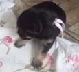 nao tem