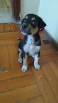 Kira
