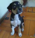 Kira
