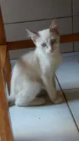 Não definido!
