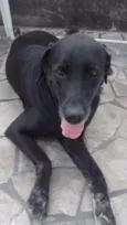 Negão 