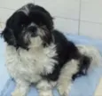 Bolinha