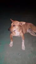Mel