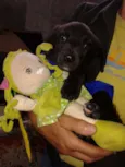 PENÉLOPE