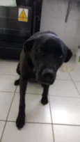 Milly