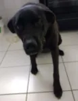 Milly