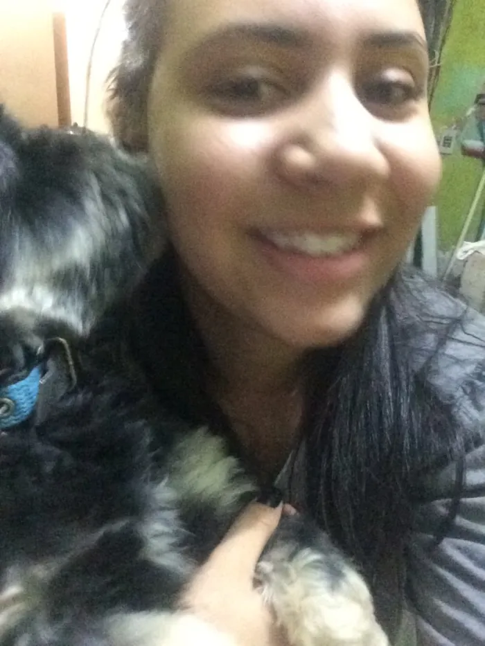 Cachorro raça Cocker com pinscher  idade 2 anos nome Baruck 