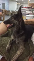 Sirius