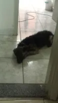 Sirius