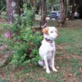 Billy